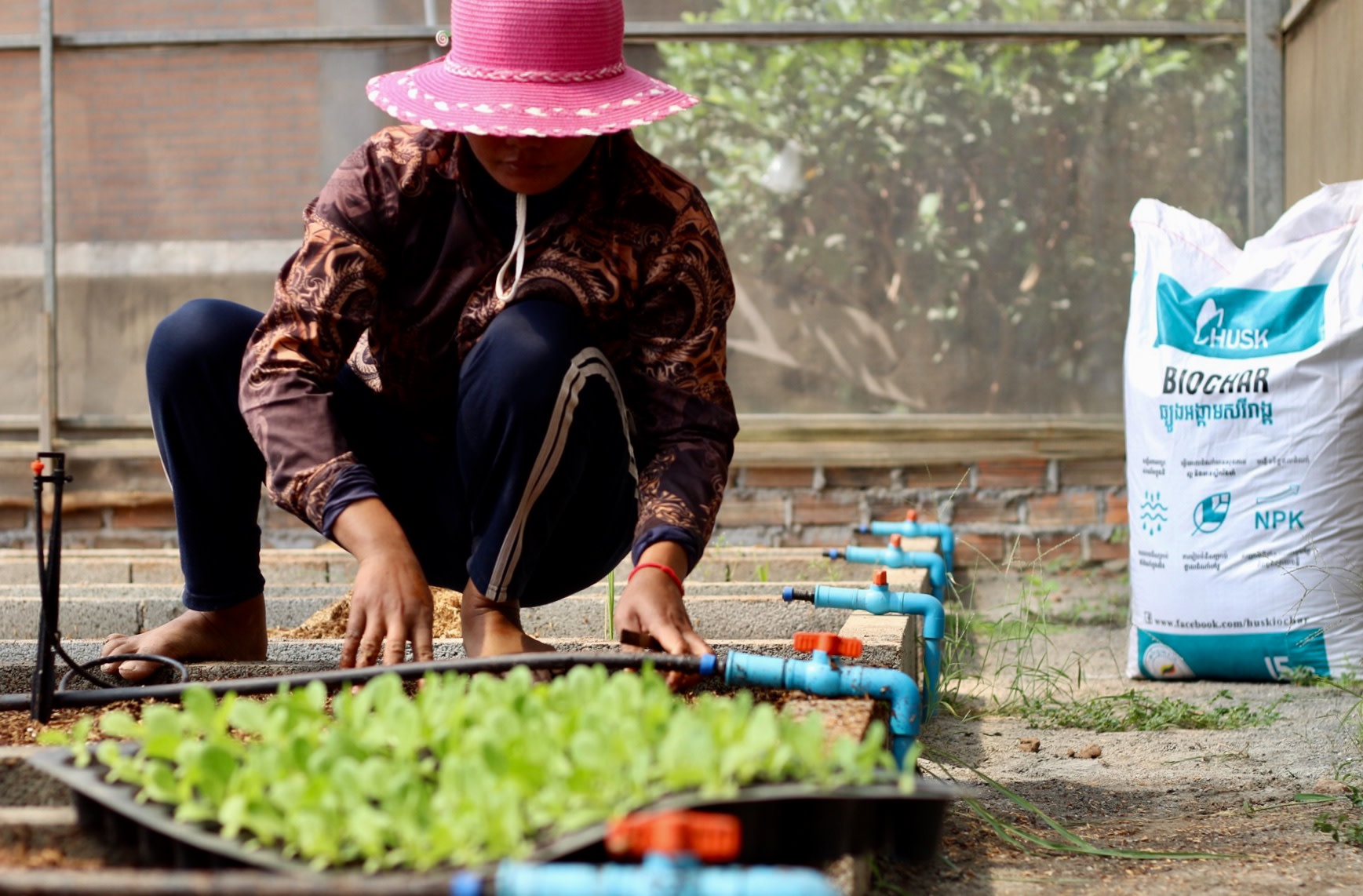 Person in pink hat tending to seedling trays in greenhouse, with fertilizer bag nearby