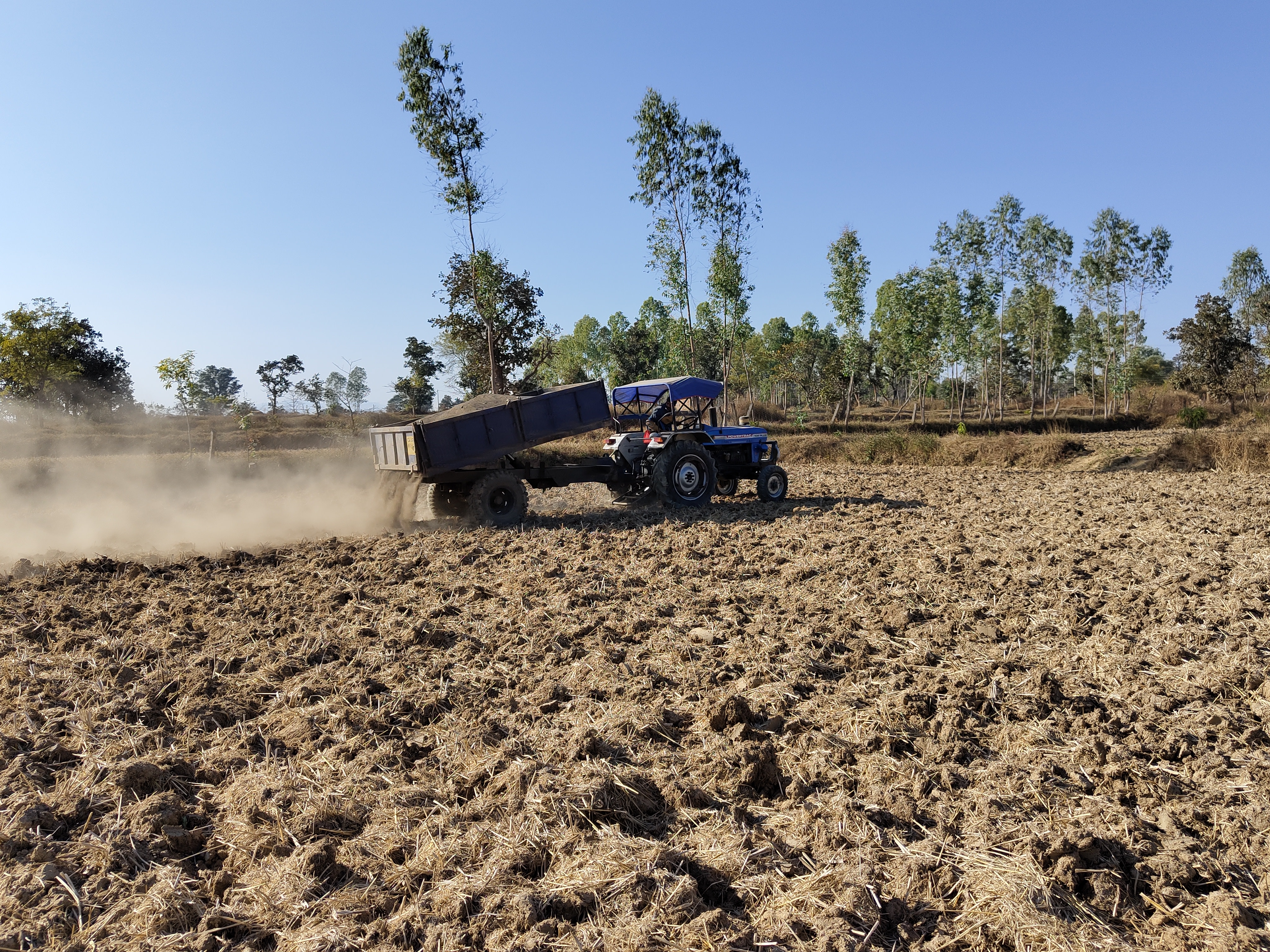 Carbon removal in paddy fields