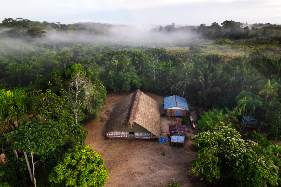 Building in forest