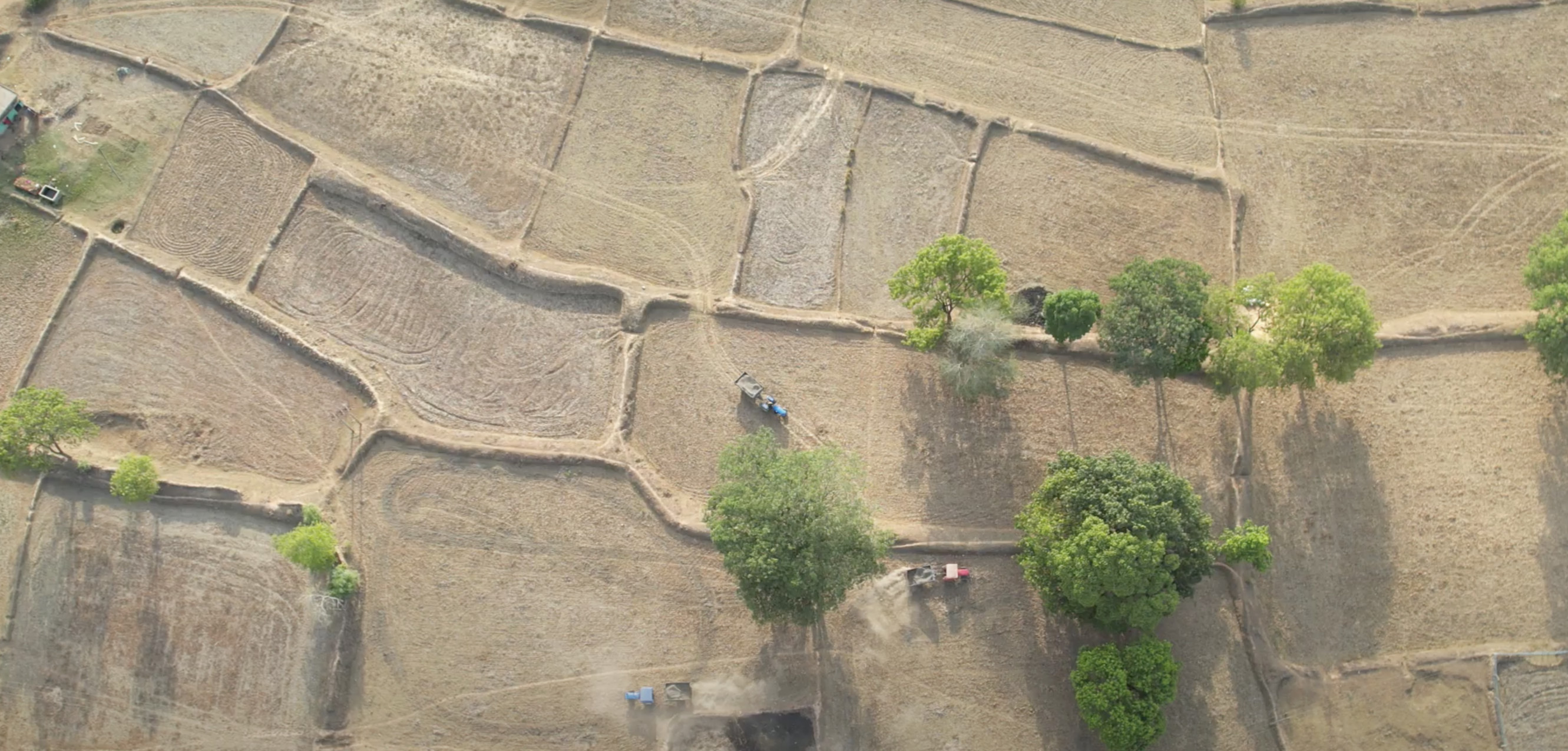 Aerial view of dry, terraced agricultural fields with scattered trees and a small figure visible among the plots.