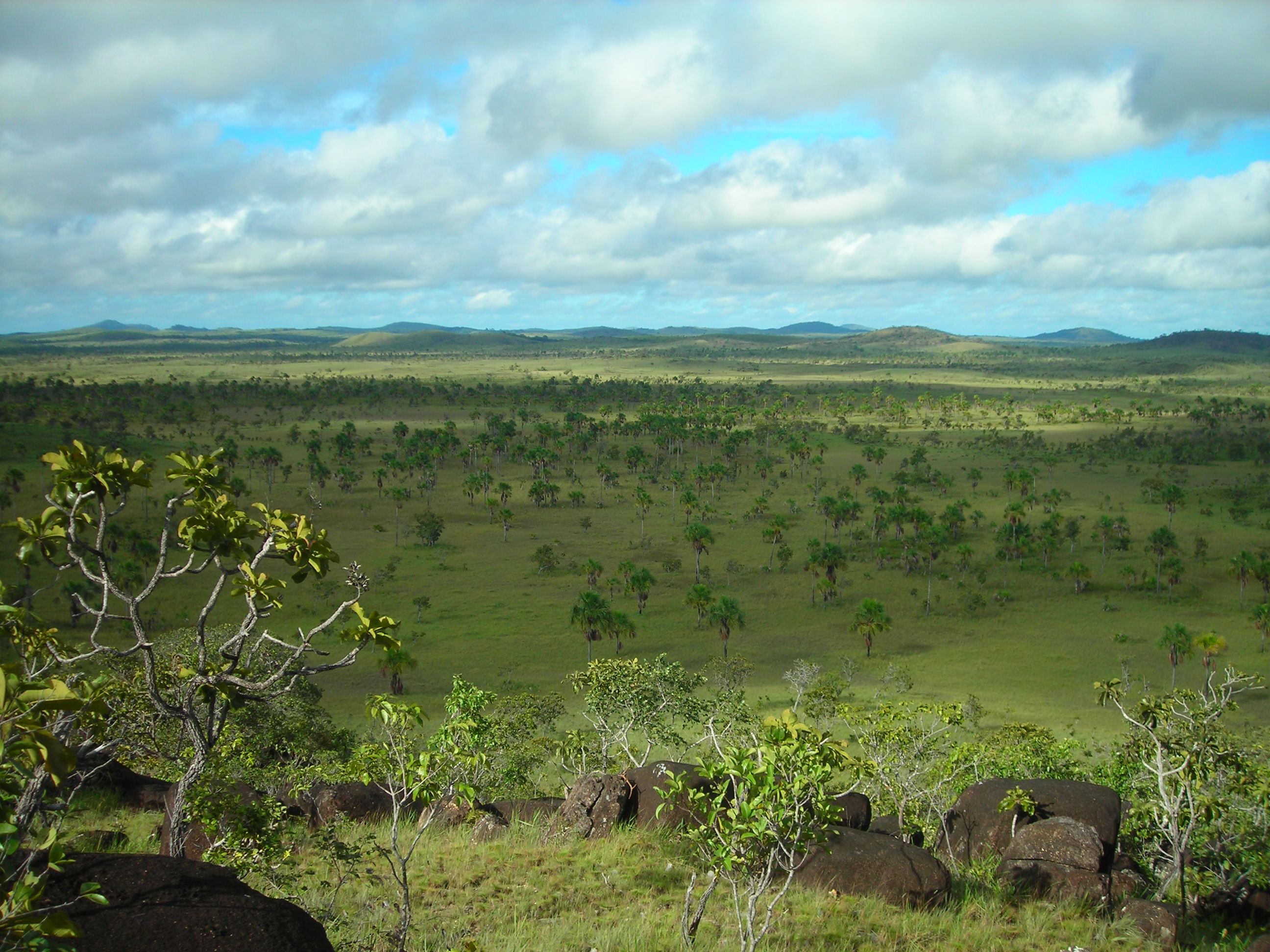 Vast savanna landscape with scattered trees, green grass, and distant hills under a cloudy sky with patches of blue.