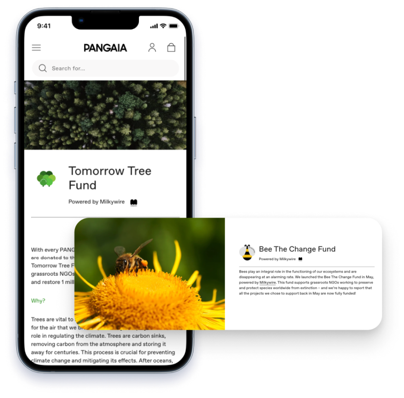 Partnership z4 Fund the fight