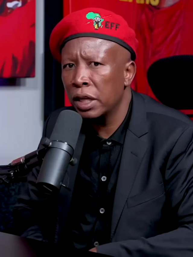 Malema Renews Call for a Unified Africa: One President, One Currency, One Army