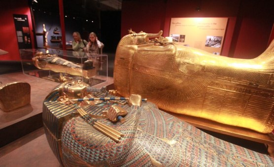 Cure, Not Curse? King Tut's Tomb Yields Promising Cancer Discovery
