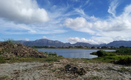 Saving Agriculture’s Lifeline: Why Africa’s Wetlands Are More Crucial Than Ever