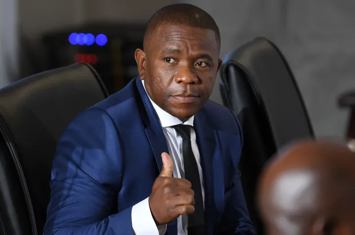 Madlanga Commission: SAPS General Mkhwanazi Accuses MPs of Political Meddling