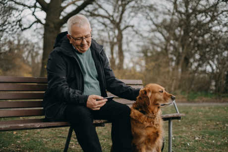 ementostock man on bench with dog