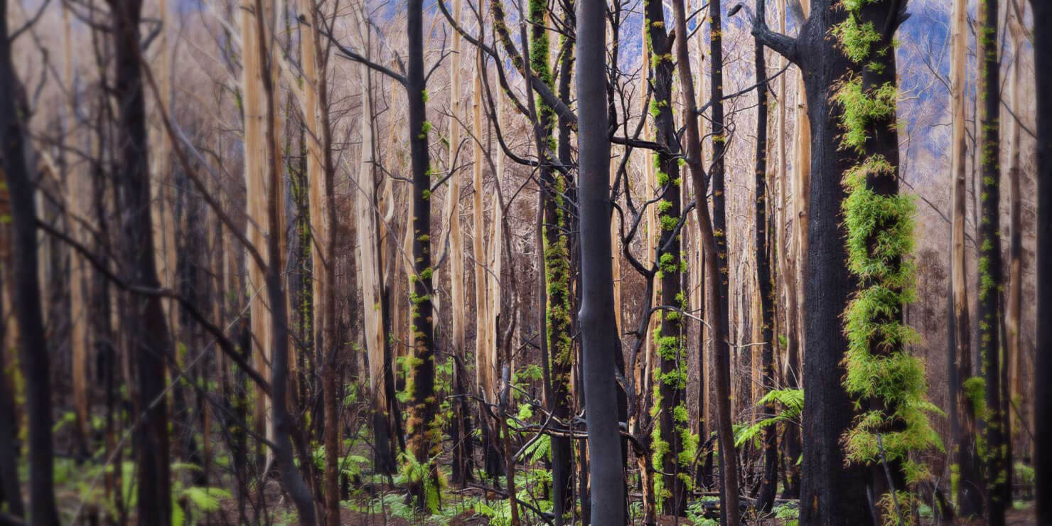 au-blogpost-climate-change