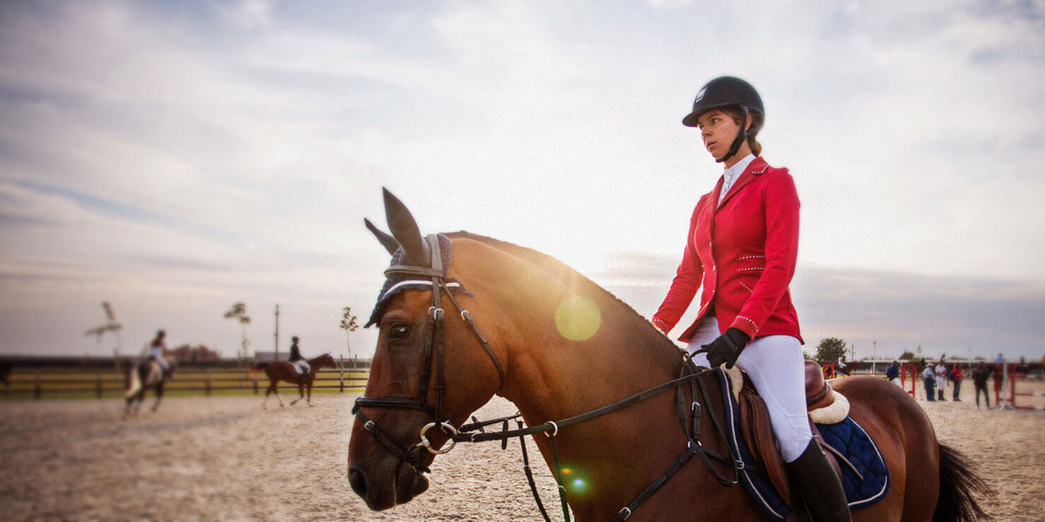 horses-equine Industry-page-hero