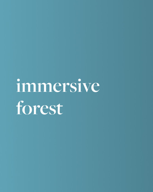 Focus Soundscape: Immersive Forest