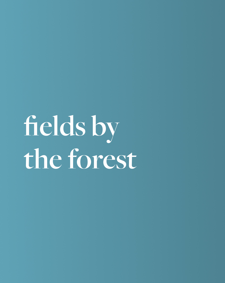 Calming Soundscape: Fields By The Forest