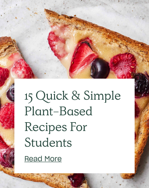 15 Quick & Simple Plant-Based Recipes For Students