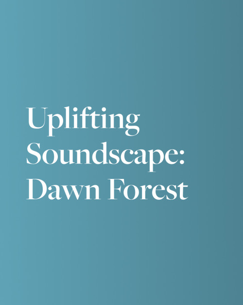 Uplifting Soundscape: Dawn Forest