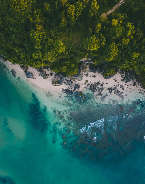 Soothing Soundscape: Rocky Shores