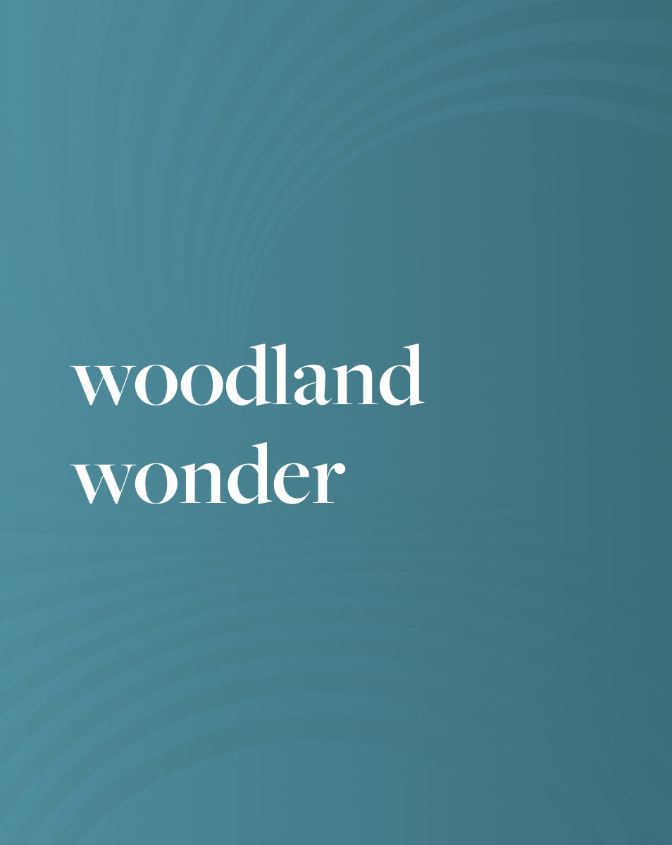 Calming Soundscape: Woodland Wonder