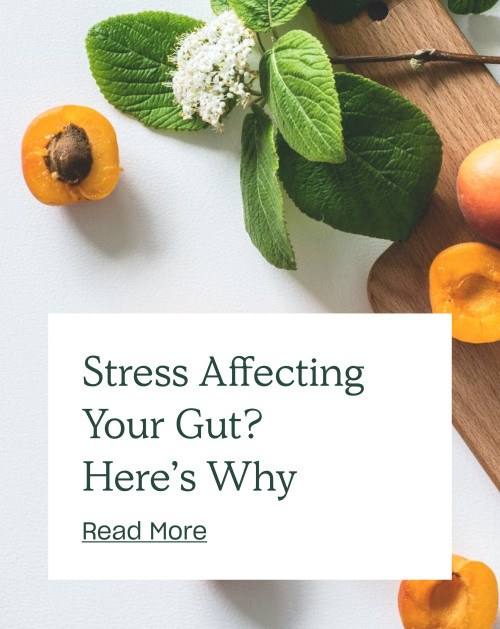 Stress Affecting Your Gut? Here’s Why
