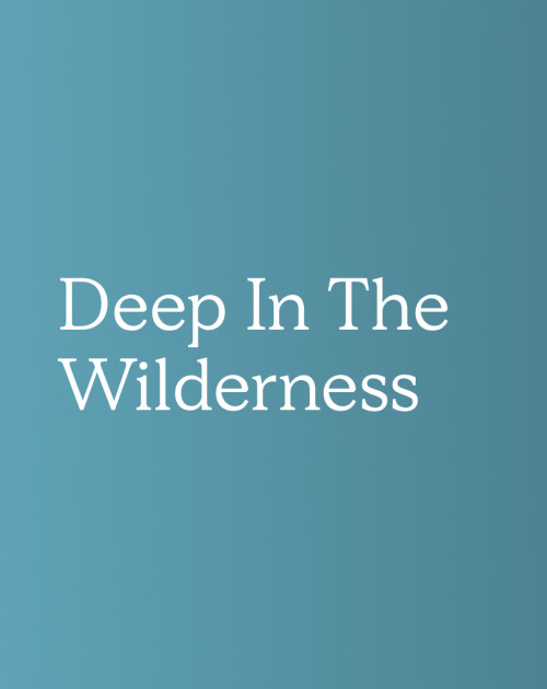 Concentration Soundscape: Deep In The Wilderness