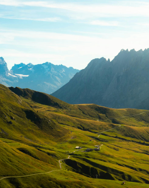 Soothing Soundscape: Relax In Nature