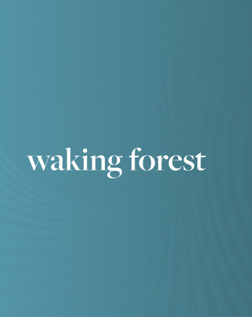 Energising Soundscape: Waking Forest