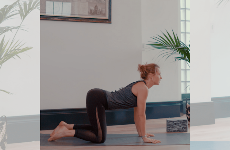 Beginner's Flow 
