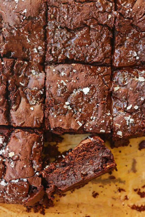 Fudgy Chocolate Chip Brownies