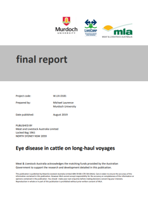 Eye disease in cattle on long-haul voyages