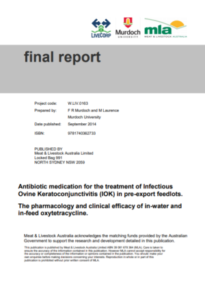Antibiotic medication for the treatment of Infectious Ovine Keratoconjunctivitis (IOK) in pre-export feedlots