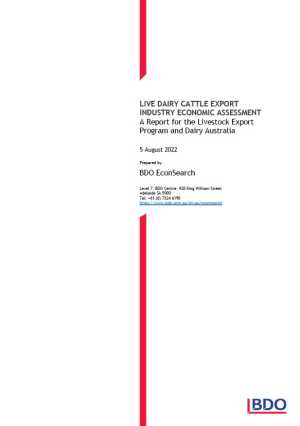 Live dairy cattle export industry economic assessment