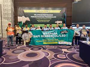 Strengthening smallholder resilience in Indonesia