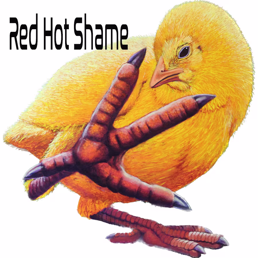 Red Hot Shame promo image