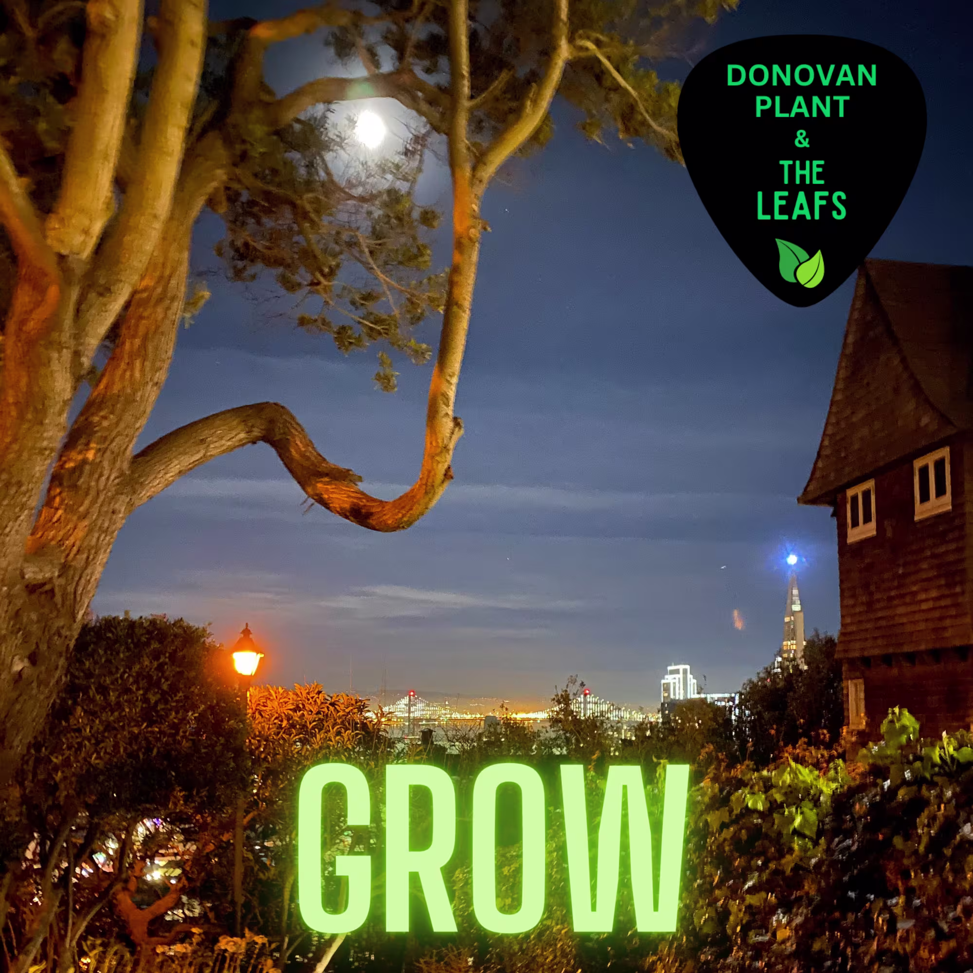 Donovan Plant & The Leafs - Grow single cover image