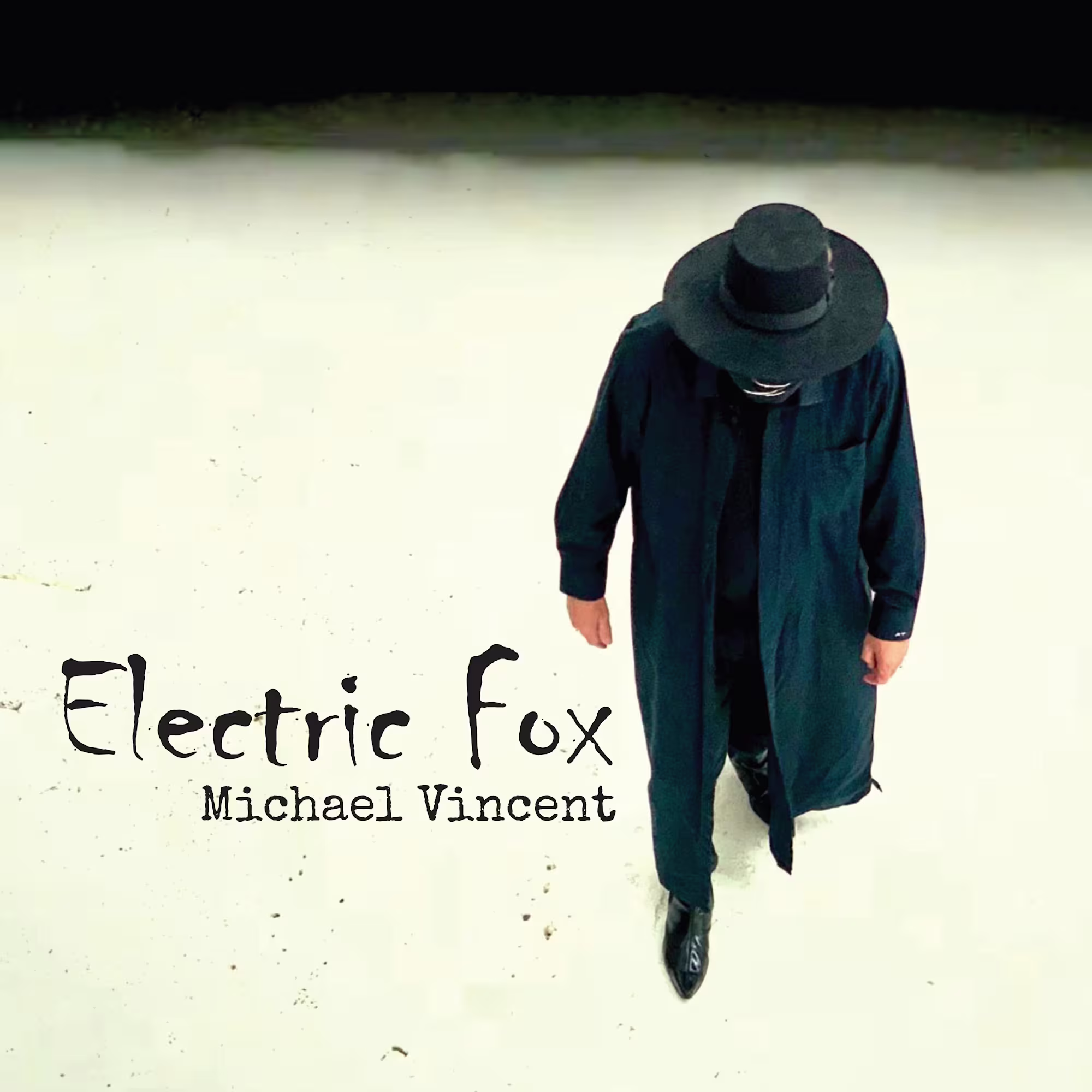 Album: Michael Vincent - Electric Fox cover