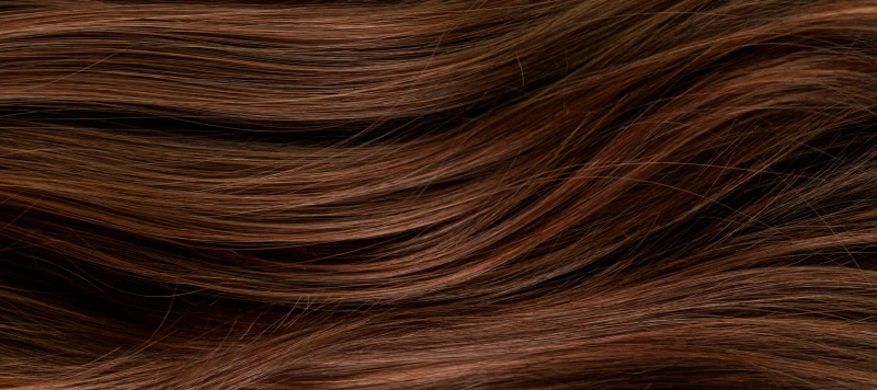 Beautiful healthy long smooth flowing brown hair.