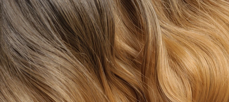 ombre hair flows from brown to blonde.