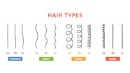 Hair Type Chart How To Determine Your Hair Type An Ultimate Guide