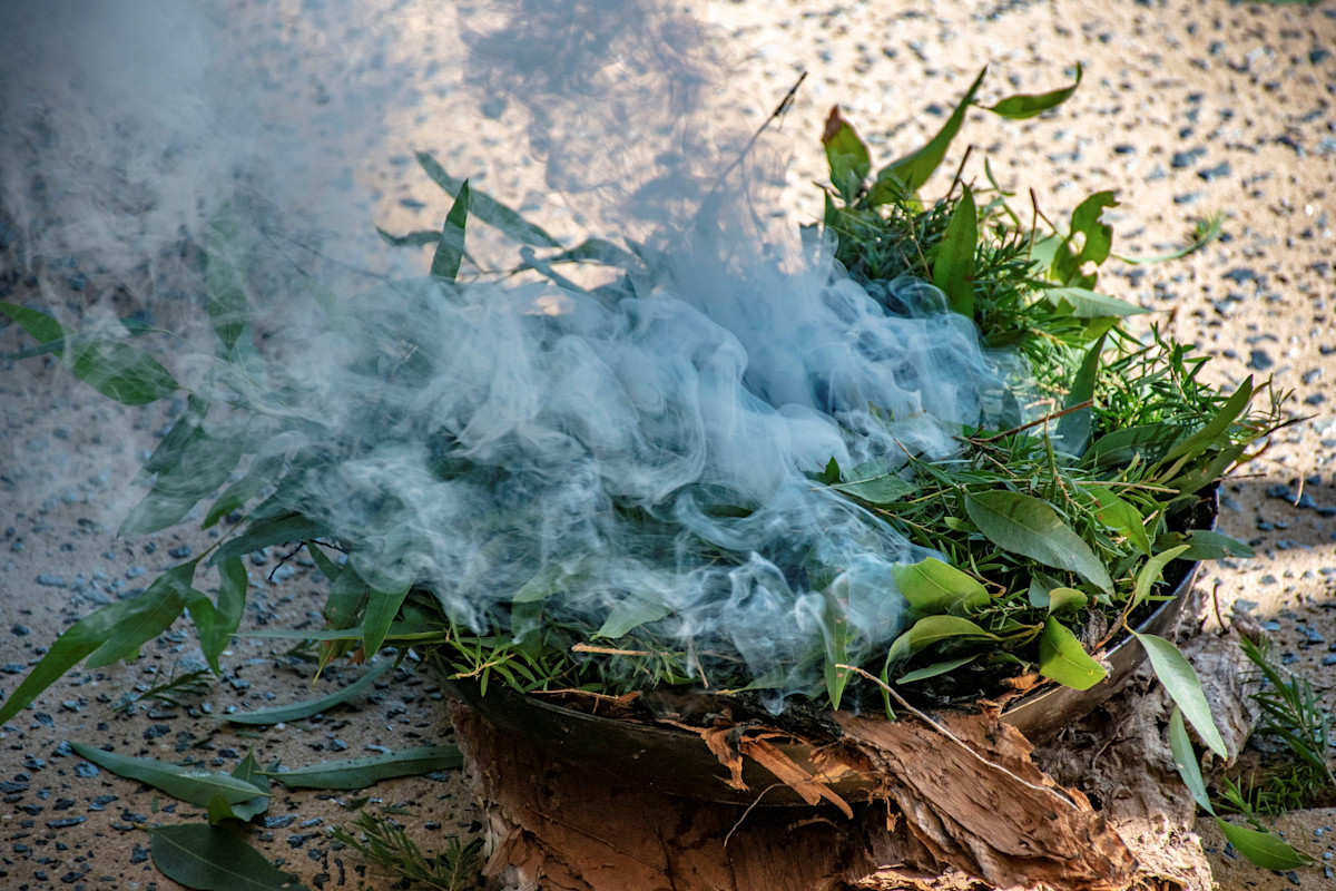 tobacco curing kilns The changing face of tobacco farming