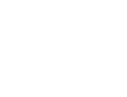 Miracel Whip Logo