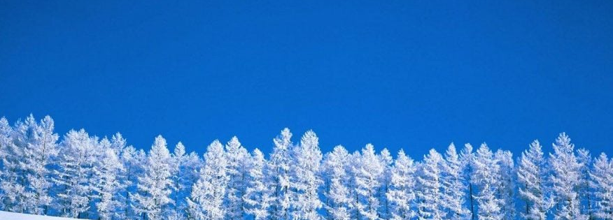 Conserve Water This Winter