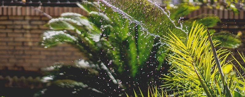 8 Simple Ways to Save on Water