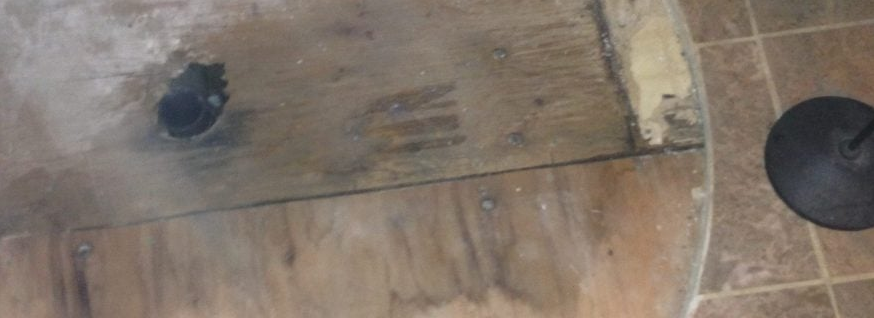Where You’ll Find Mold in Your Home