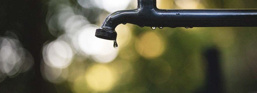 7 Ways to Stop Wasting Water