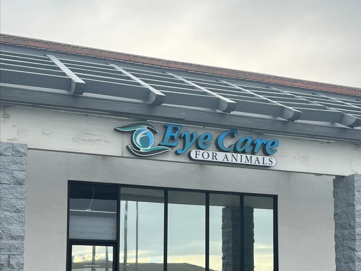 Veterinary Ophthalmology Upland CA Eye Care for Animals