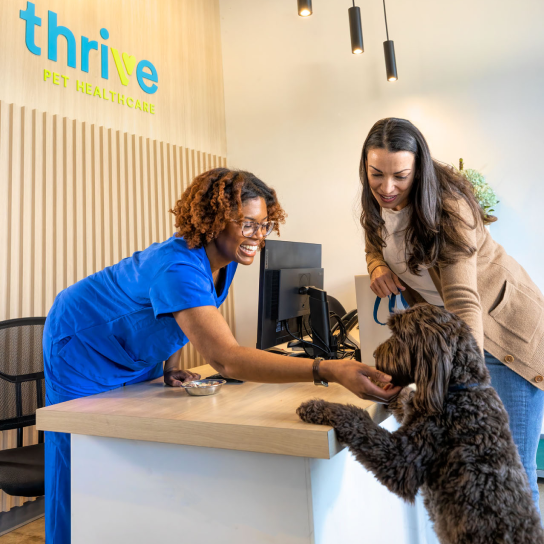 Thrive Pet Healthcare Frederick Veterinary Care