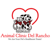 Animal Clinic Del Rancho | Veterinary Care in Scottsdale AZ