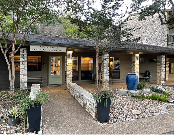 Westlake Animal Hospital