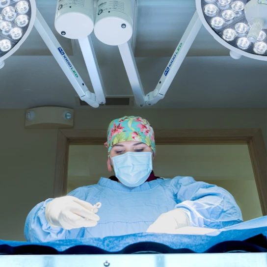 Emergency Vet Chicago Hoffman Estates Thrive Pet Healthcare