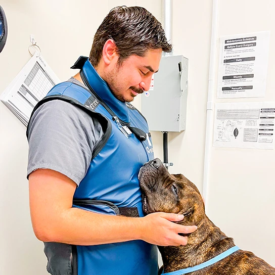 Pet Urgent Care Thrive Pet Healthcare