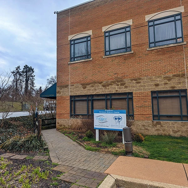 Veterinary Ophthalmology Annapolis MD Eye Care for Animals