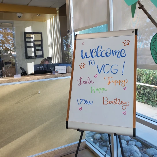 Veterinary Cancer Group of Orange County