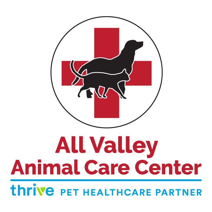 Animal Care Center All Valley Veterinary Hospital Clearance All